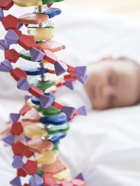 Baby girl (2-5 months) sleeping in bed behind DNA model.
Photo : Jamie Grill