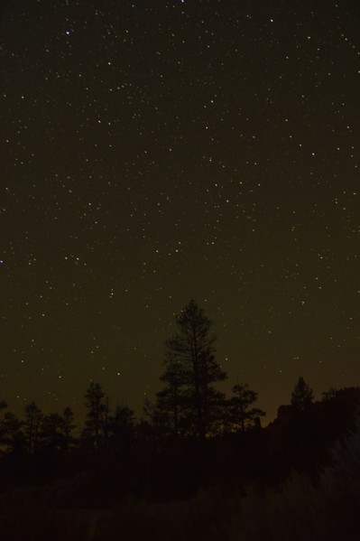 Night sky above trees. USA, Utah, Bryce Canyon.
Photo : Daniel Grill