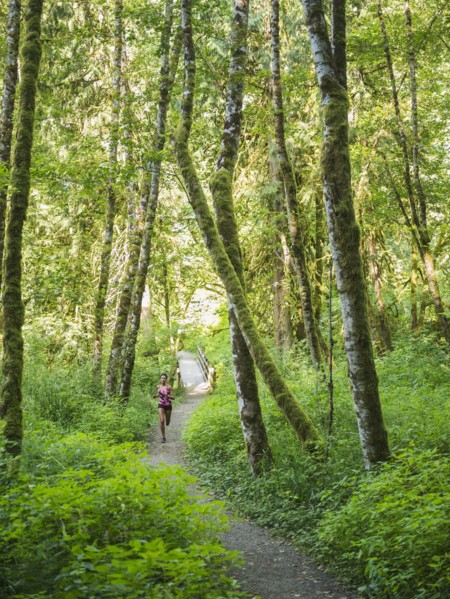 Young women jogging in forest. USA, Oregon, Portland.