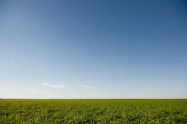 Rural landscape.
Photo : Kristin Lee