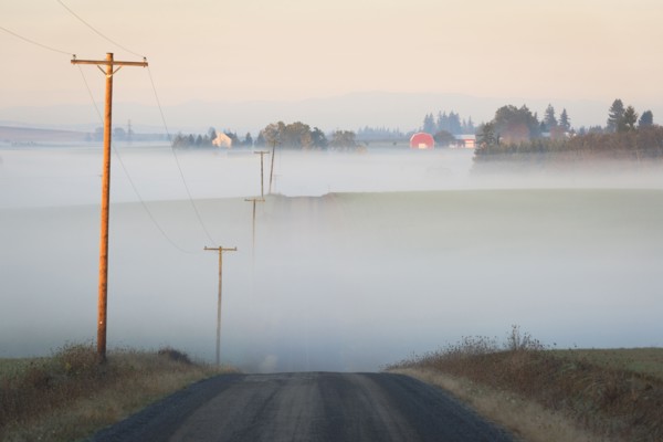 Fog over road. USA, Oregon, Marion County.
Photo : Gary Weathers