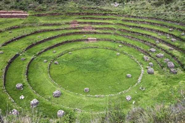 Incan ruins. Peru, Cuzco, Moray.
Photo : Henryk Sadura