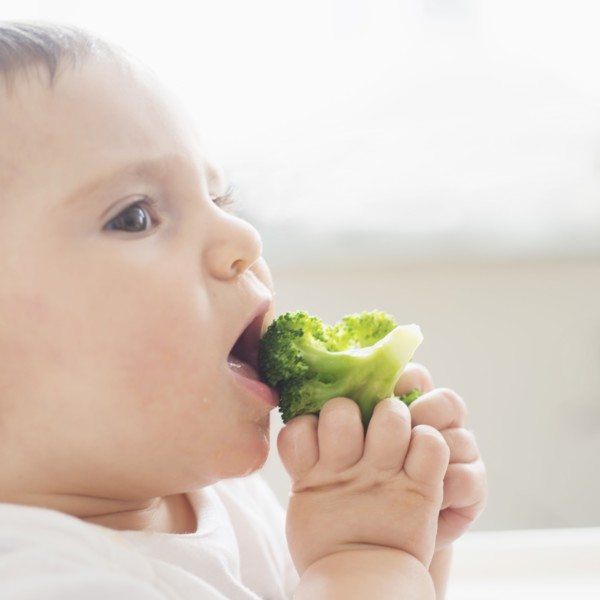 Baby girl (12-17 months) eating broccoli.