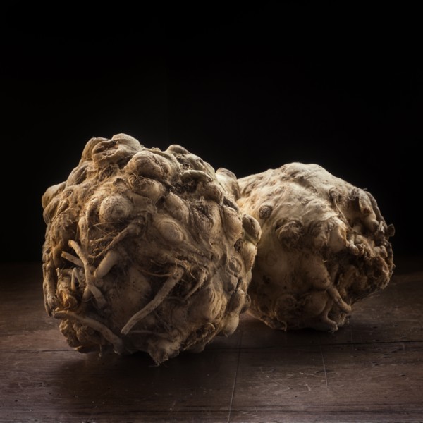 Studio shot of celeriac.