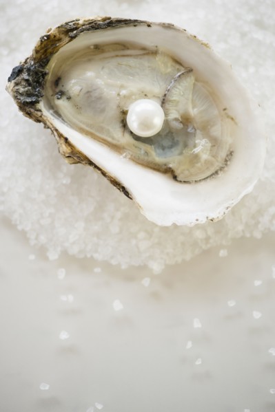 Studio shot of oysters and pearl.
Photo : Jamie Grill