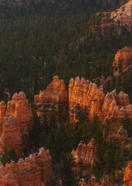 Bryce Canyon National Park. Bryce Canyon National Park, Utah, USA.
Photo : Daniel Grill