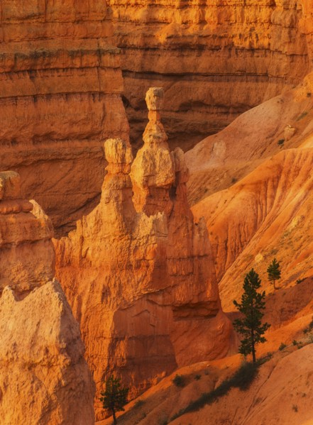 Bryce Canyon National Park. Bryce Canyon National Park, Utah, USA.
Photo : Daniel Grill