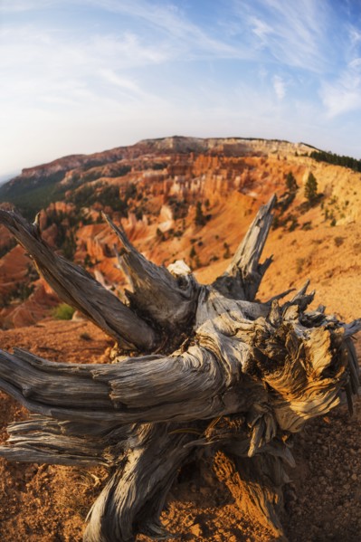 Bryce Canyon National Park. Bryce Canyon National Park, Utah, USA.
Photo : Daniel Grill