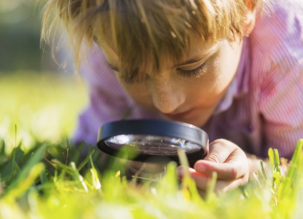 Boy (8-9) searching for bugs.
Photo : Daniel Grill