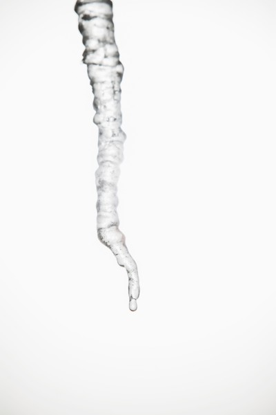 Studio shot of melting icicle.
Photo : Maisie Paterson