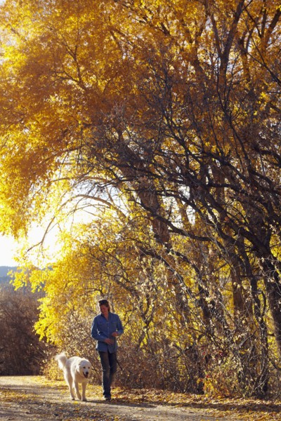 Woman walking her dog in forest. Colorado, USA.
Photo : Kelly