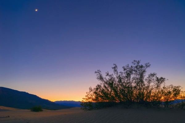Sunset with moon, Mesquite Dunes. Mesquite Dunes, California, USA.
Photo : Gary Weathers