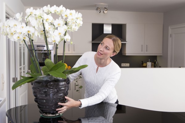 Woman putting orchid on table.
Photo : Mark de Leeuw