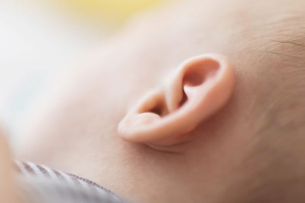 Close up of baby boy's(2-5 months) ear.