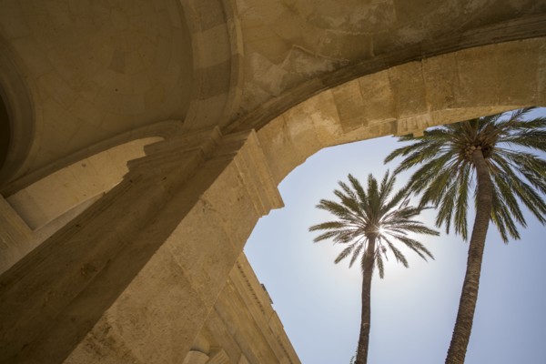 Palm trees in front of Cathedral of Almeria. Almeria, Spain.