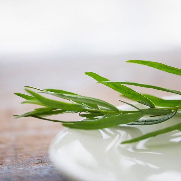 Tarragon in ceramics.