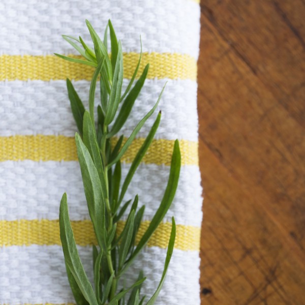 Tarragon on table.
