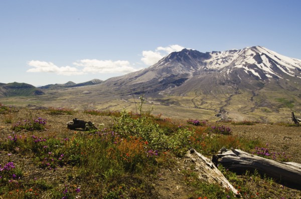 Mount St Helen's