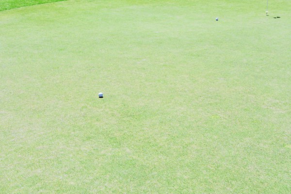 Elevated view of golf course
