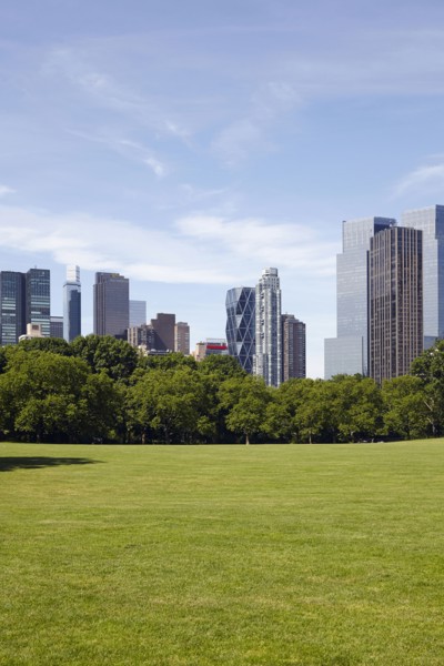 City skyline