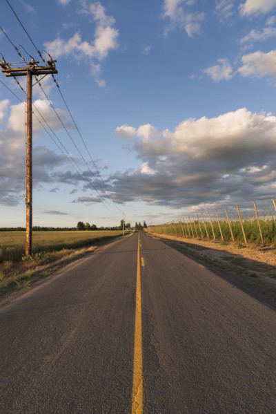 Empty road in diminishing perspective