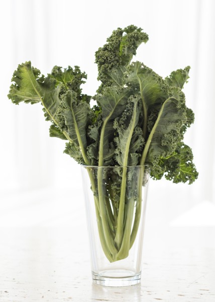 Studio shot of kale leaves in glass.