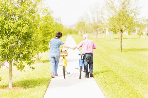 Rear view of couple wheeling bicycles along cycling path