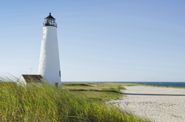 Great Point Lighthouse on overgrown beach against clear sky