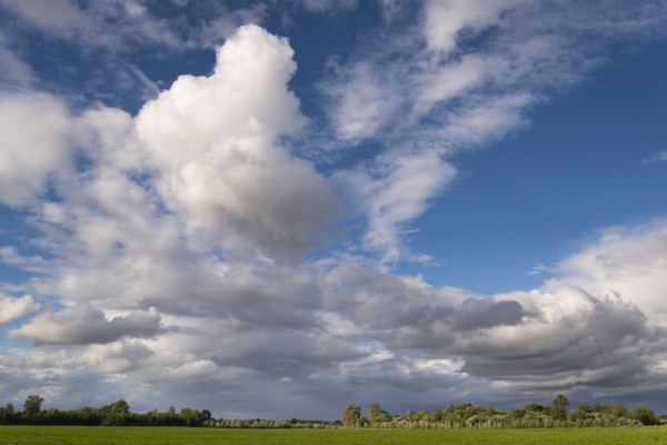 Moody sky above green meadow