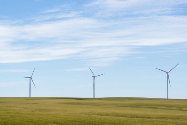 Wind turbines at green field
