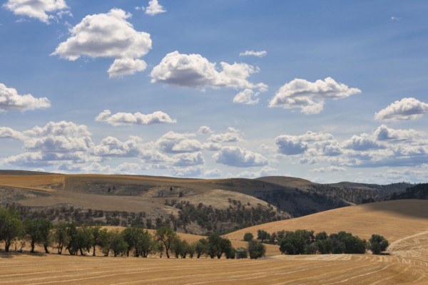 Rolling landscape with cloudy sky