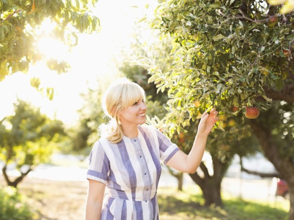 Woman picking apples in orchard