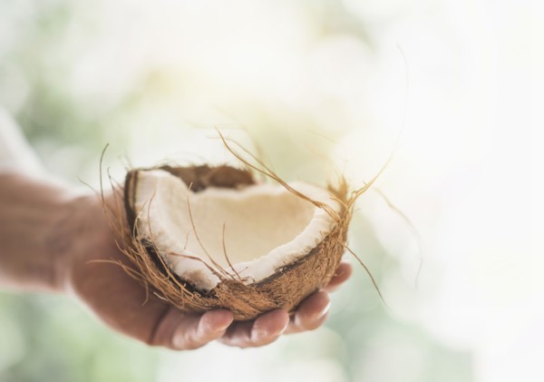 Close up of man's hand holding part of coconut.
