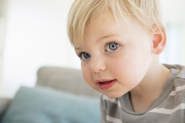 Portrait of cute boy (2-3)