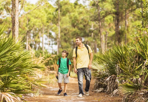 Father and son (12-13) walking through forest