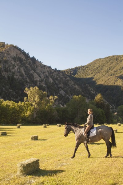 Woman horseback riding in field at sunset