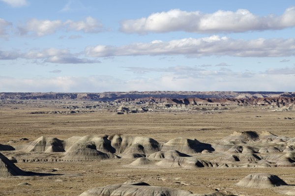 Scenic view of landscape