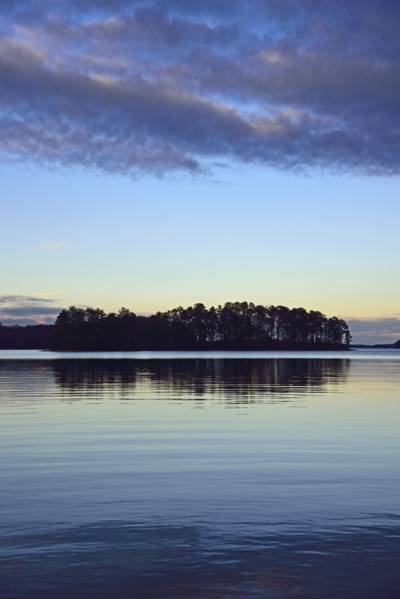 Symmetrical view of trees reflecting in lake at dusk