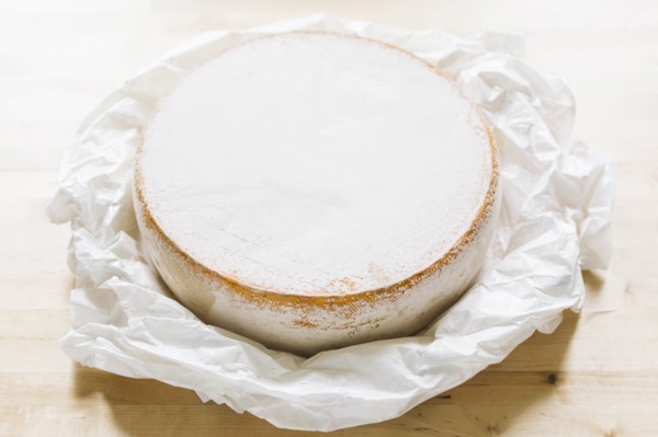 Close up of cheese circle