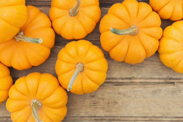 Overhead view of yellow pumpkins