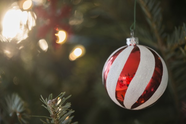 Christmas bauble on Christmas tree