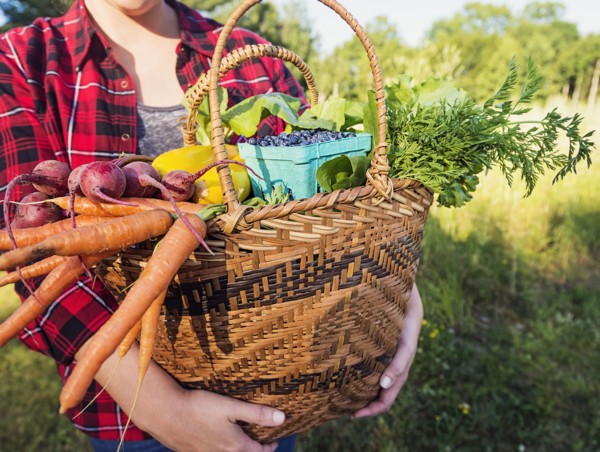 Mid section of woman holding basket with vegetables and fruits