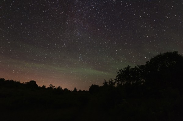 View of starry sky at night