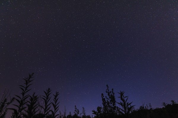 Starry sky at night