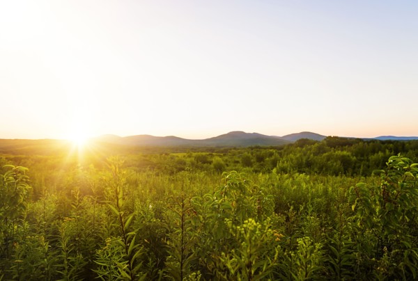 Green valley at sunset