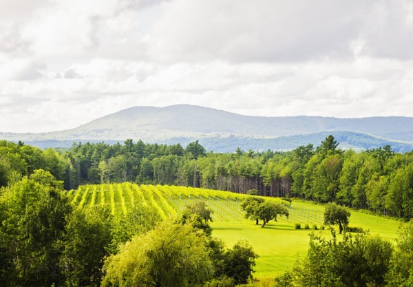 Scenic green landscape under cloudy sky