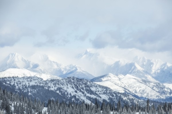 Landscape with mountains and forest in winter