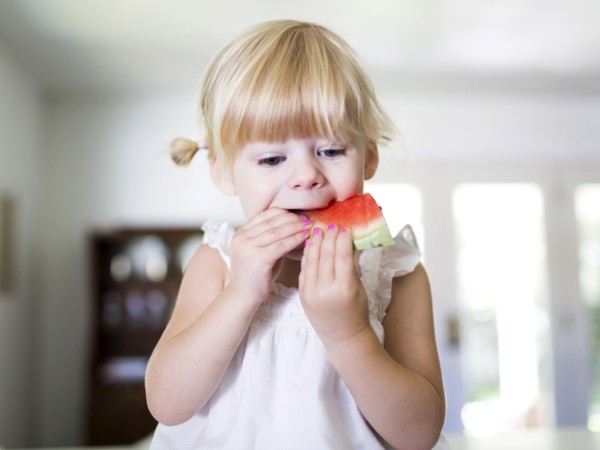 Portrait of girl (2-3) eating watermelon