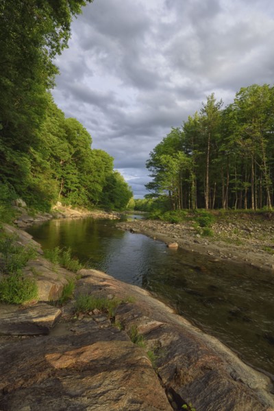 View of Williams River