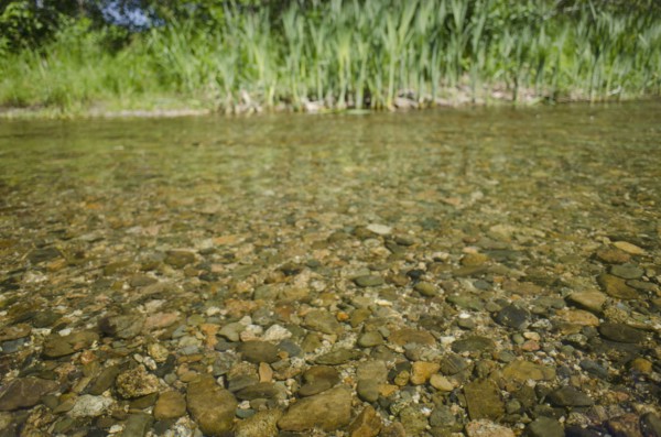 Close-up of water in river